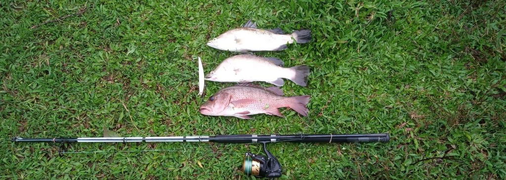 produk reel shimano terbaru Shimano Nexave Terbaru 2026 #shimano #mbpancing #mitrabengkelpancing