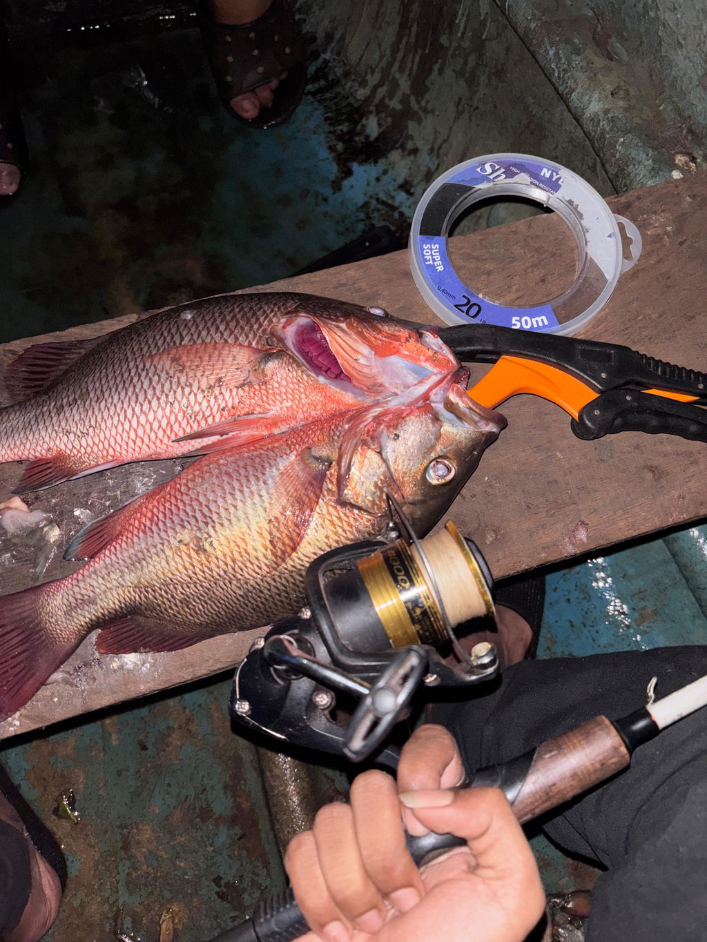 Shimano FX Spinning Reels | FX4000FC |