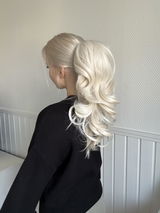 2in1 Pony