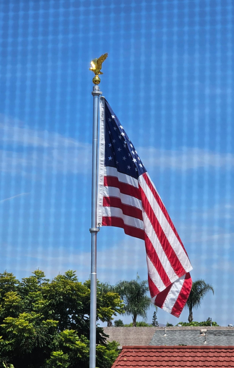 Flag Pole Swivel Rings | Sealed Bearings | Stainless Steel Clips | 6 Sizes 1/2" to 2"