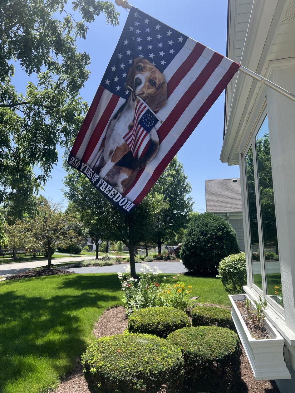 Solar LED American Flag Decoration | 250 Blessing Eagle Cross Flag