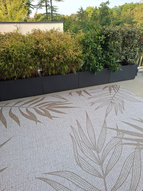 Nathifa sepia - “Indoor & Outdoor”