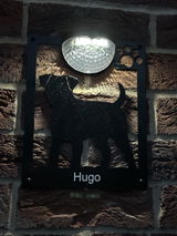 User picture