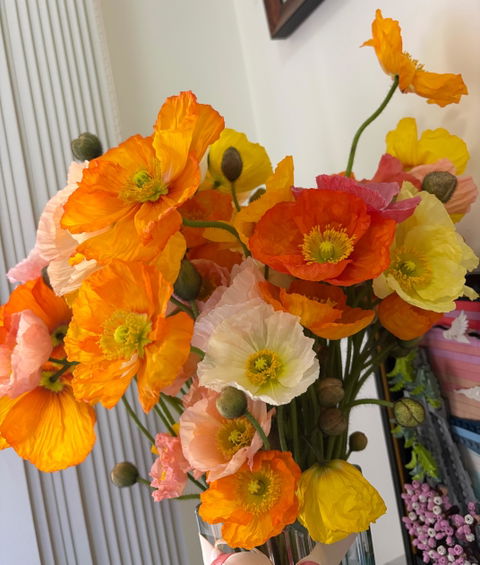 Poppies