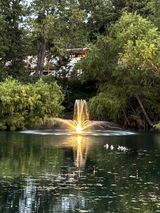 X-Large Pond Fountain with Lights Package, Durable LED Lights, 14000 GPH Pump!