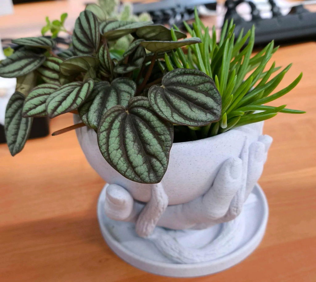Hand Holding Marble Planter – Artistic Indoor Pot for Desks & Shelves | Framora