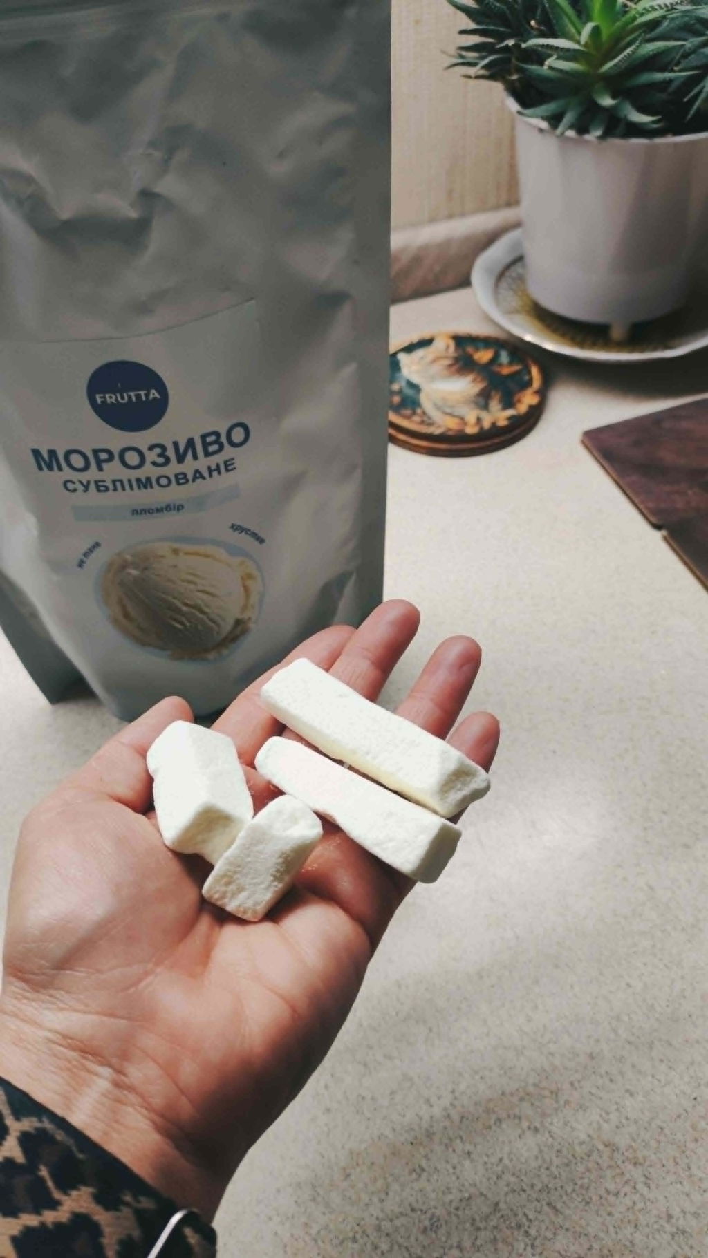 Сублімоване морозиво пломбір