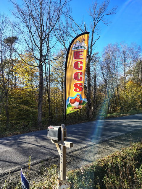 Eggs For Sale Sign Flag Kit - 8ft Farm Fresh Eggs Feather Flag with Pole and Stake