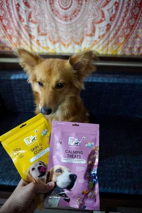 Fullr Skin & Coat, Soft & Chewy Sticks for Dog