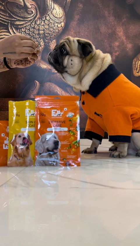 Fullr Digestive Care, Soft & Chewy Sticks for Dog