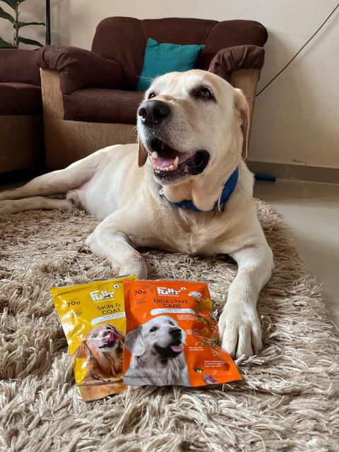 Fullr Digestive Care, Soft & Chewy Sticks for Dog