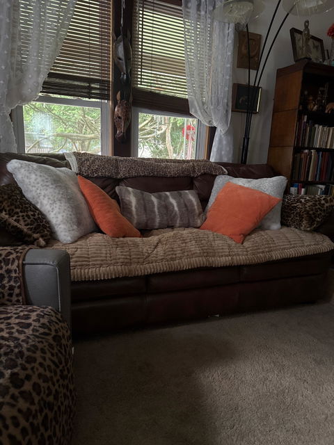 Make Waffle Biscuit Couch Cover – Cozy Soft Flannel & Breathable Pet Mat