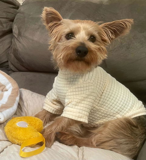 FUNNYFUZZY