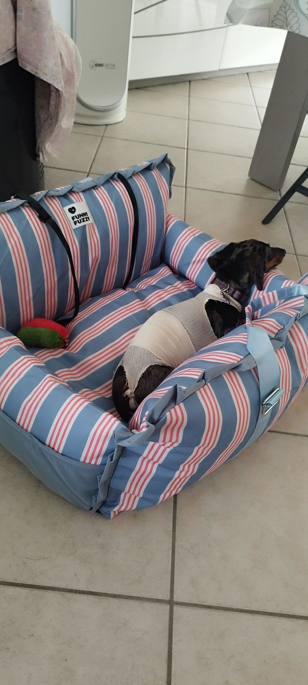 Siège auto imperméable pour chien - Première classe