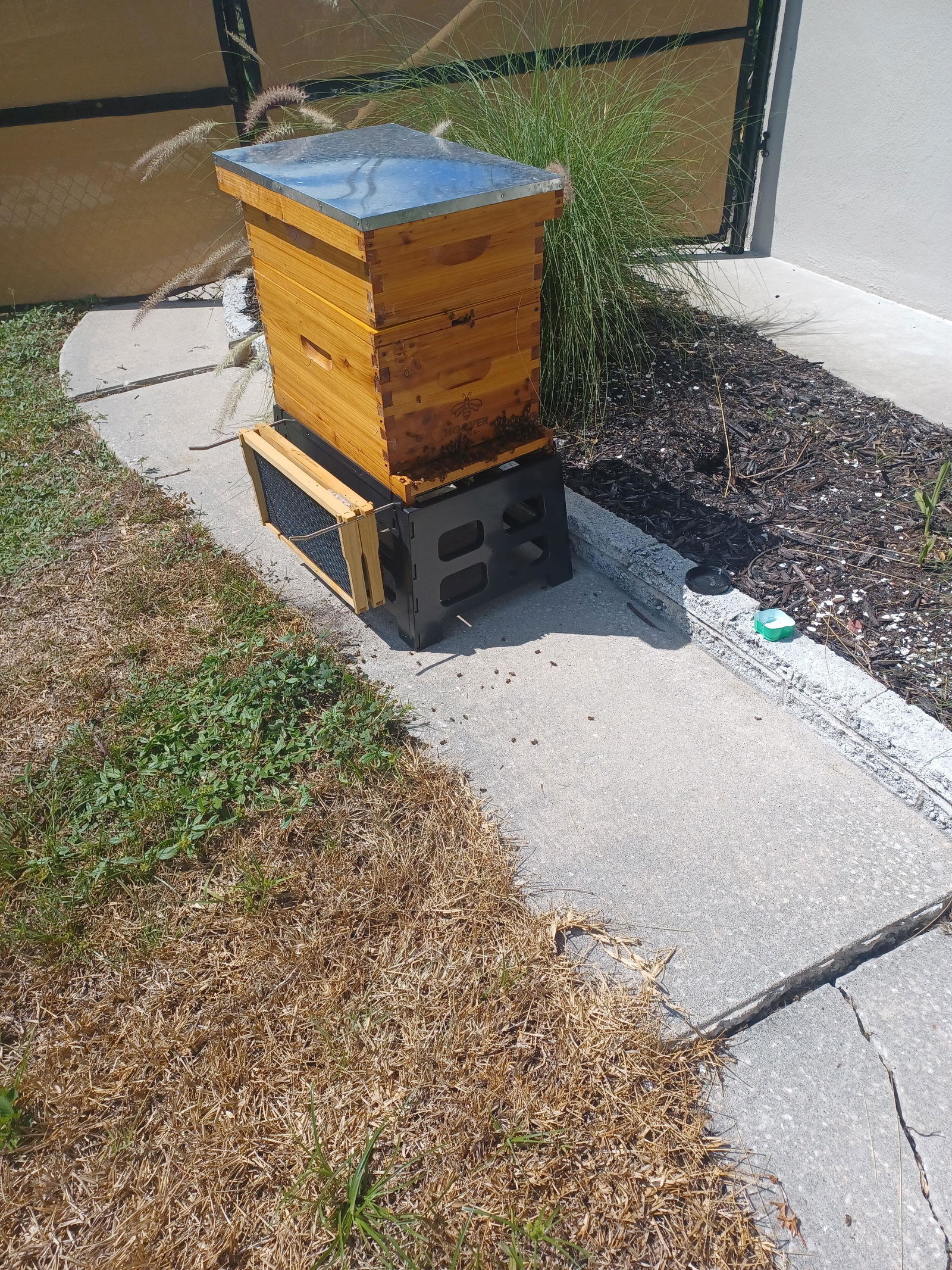 Hoover Hives Deep Brood Box Kit – 8 or 10 Frame with Wax-Coated