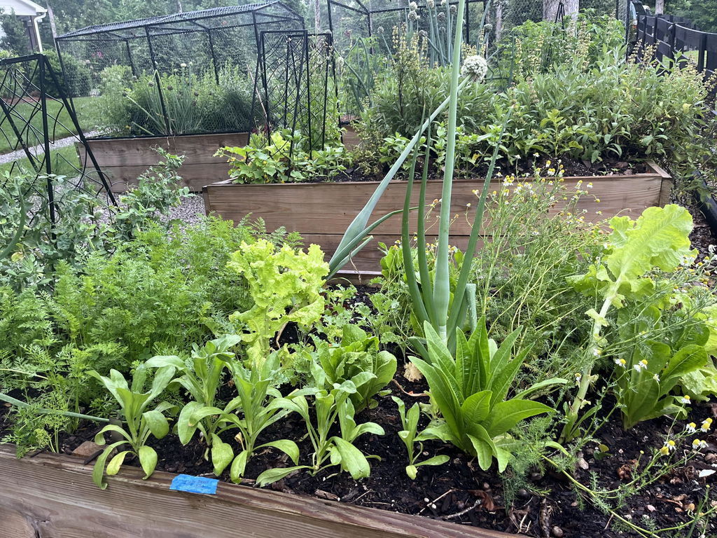 Seed Starting Course