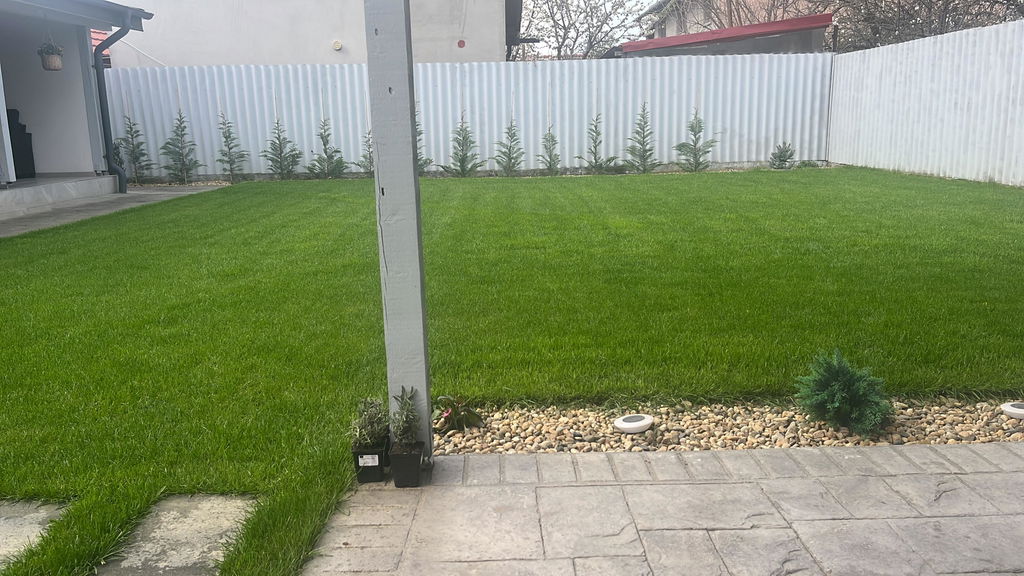 Îngrășământ gazon Starter pentru însămânțare, supraînsămânțare și reabilitare