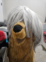 User picture