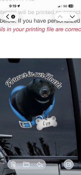 User picture
