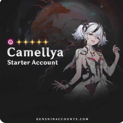 Camellya Wuthering Waves Account
