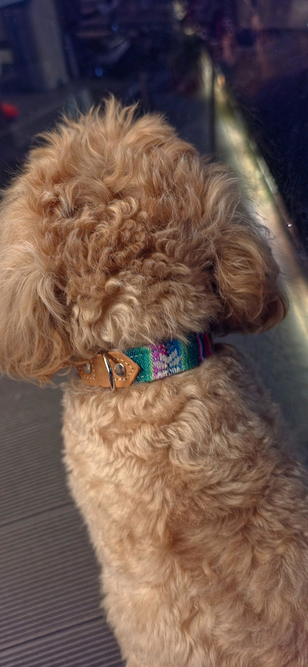 Hiro+Wolf Collar: Cyan Inca