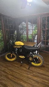 User picture