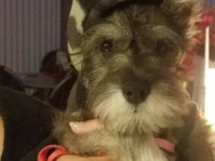 Review picture