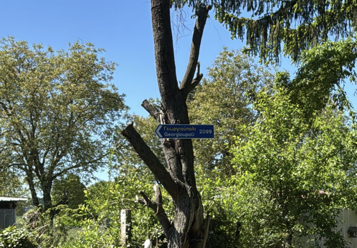 Komplettset Aufhängeplatte M Wandmontage