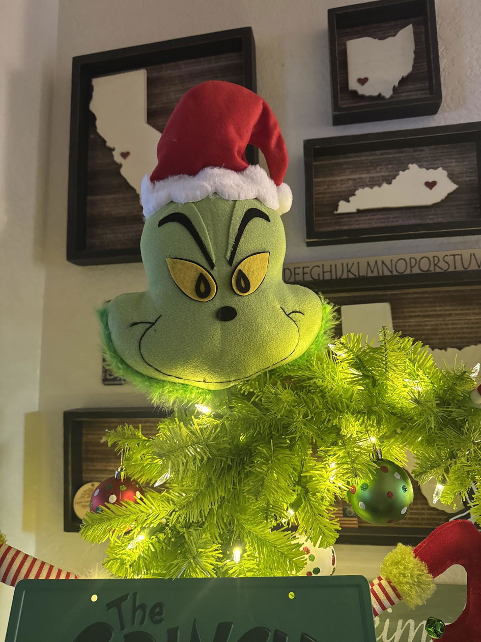 Green fluffy monster head - Greenery Market