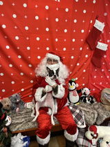Soft Santa Sweater