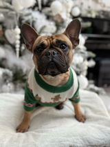 Best Christmas Sweater