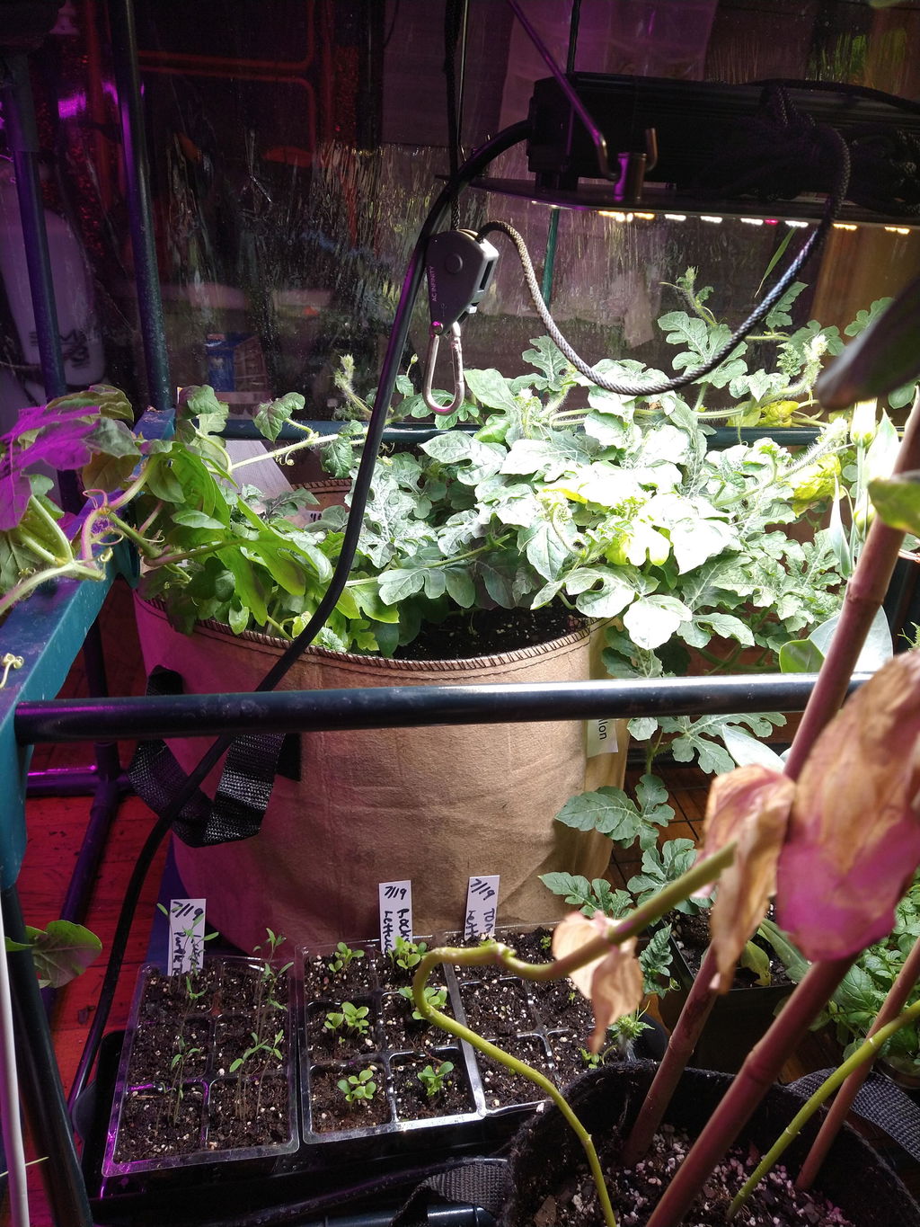 AC Infinity IONBOARD S22 Full Spectrum LED Grow Light 100W Samsung