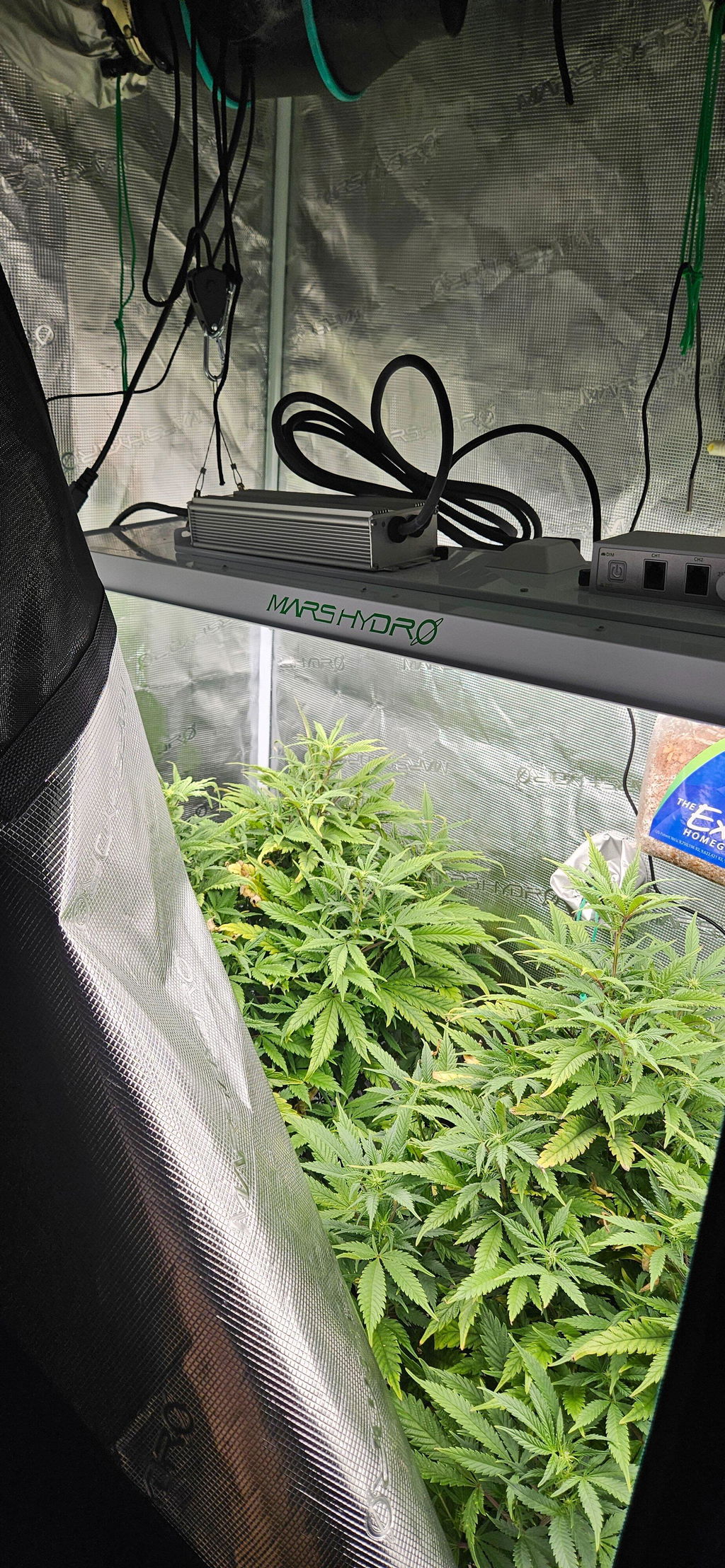 Mars Hydro 2' x 4' x 6' 1" (60cm x 120cm x 180cm) Indoor Grow Tent