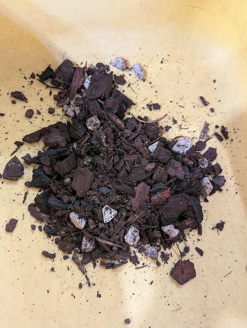Anthurium Premium Potting Mix | Potting Soil & Substrates