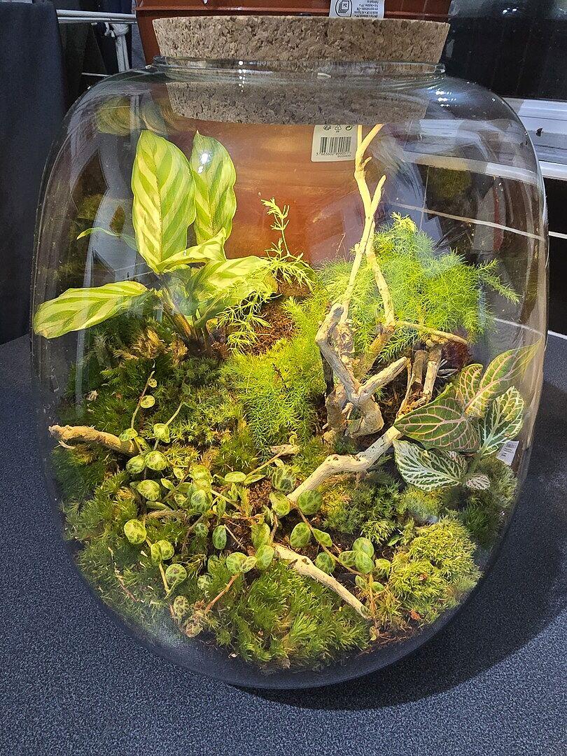 Terrarium Premium Substrate (ABG Mix) | Potting Soil & Substrates