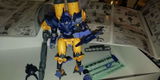 User picture