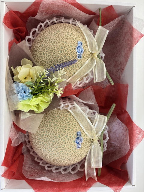 静岡県産 クラウンメロン (約1.4kg) 2玉