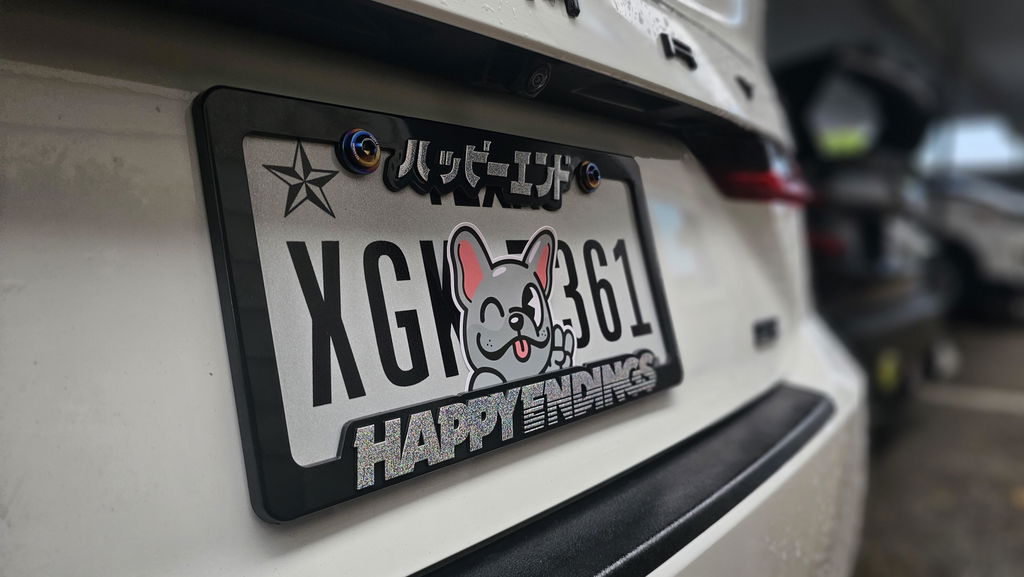 License Plate Frame - Silver Glitter Lettering (Black Frame)