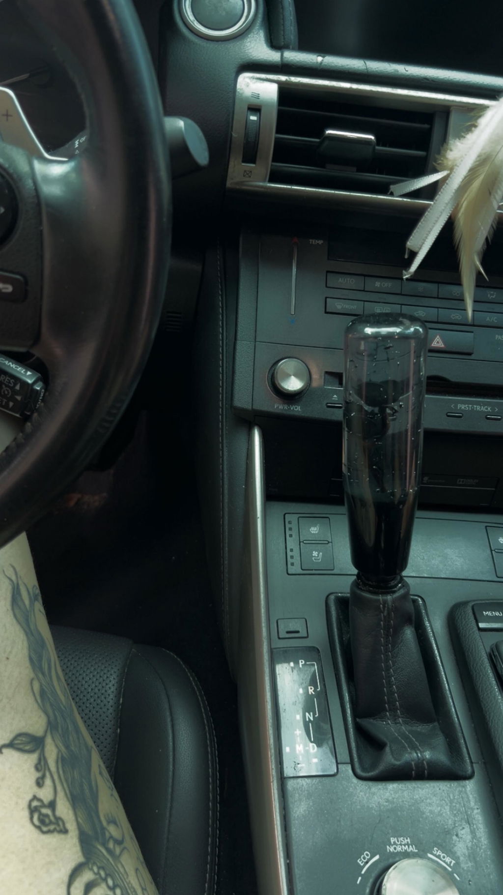 Shift Knob - Sparkling Roses (Black)