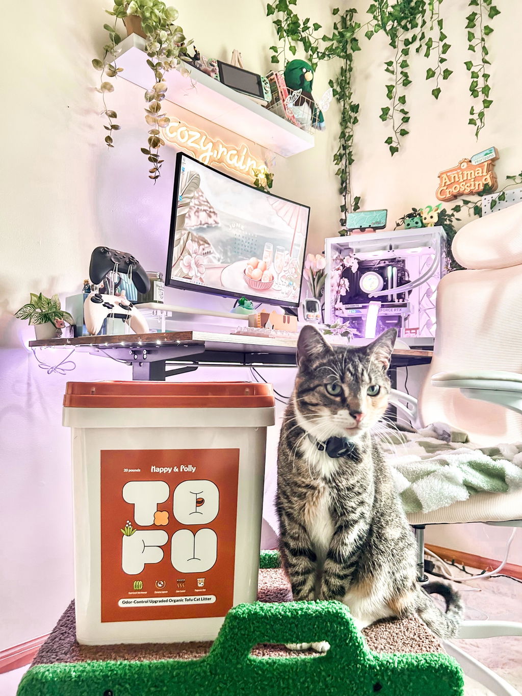Plant-Based Tofu Litter with Triple Natural Deodorizers