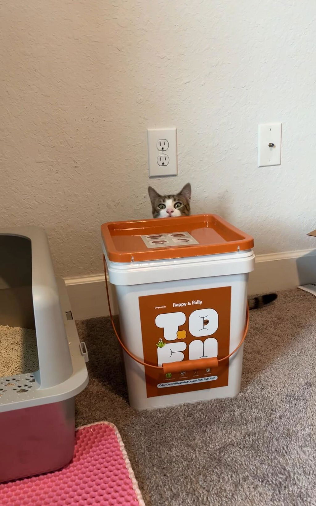 Plant-Based Tofu Litter with Triple Natural Deodorizers