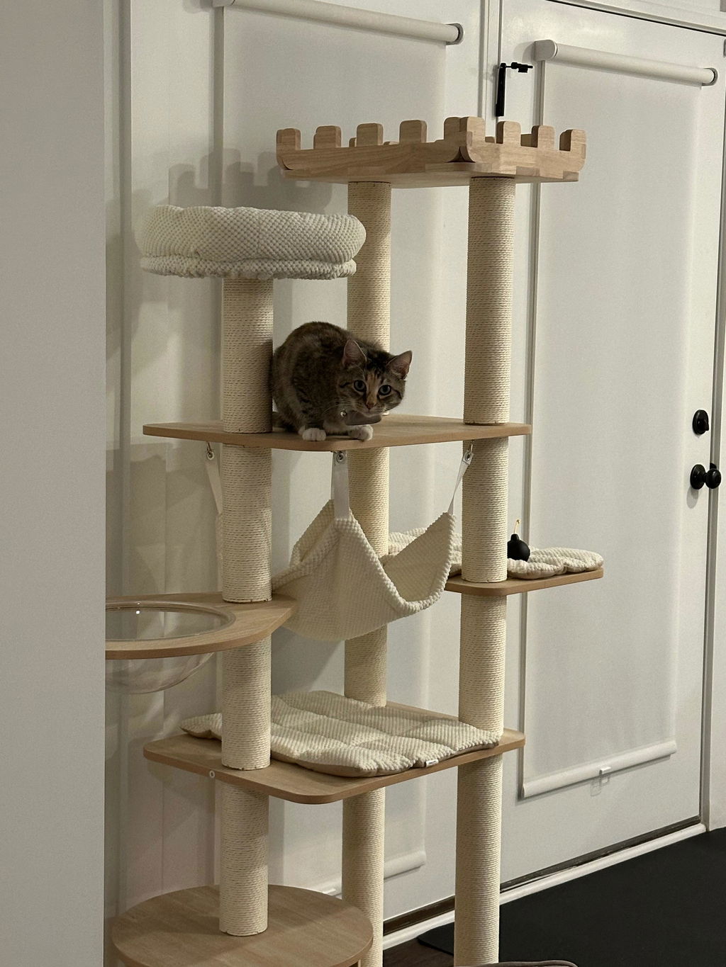 Royal Crown Cat Tree