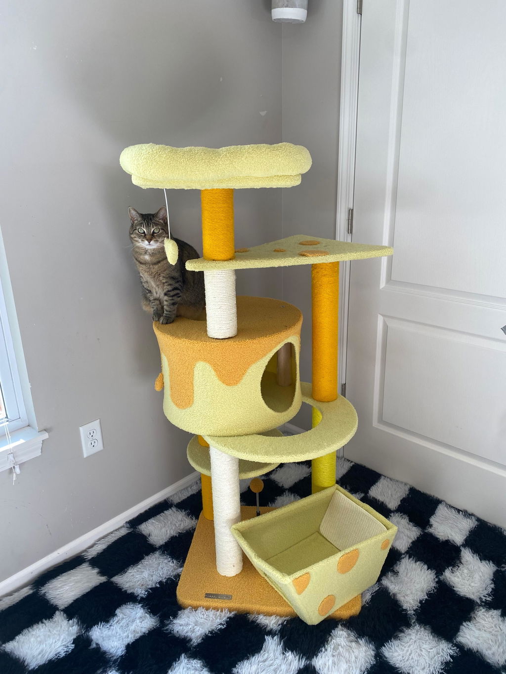 Transformable Cheese Cat Tree