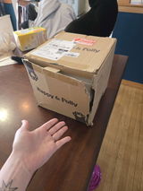 User picture