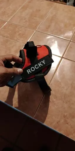 Personalized Reflective Dog Harness