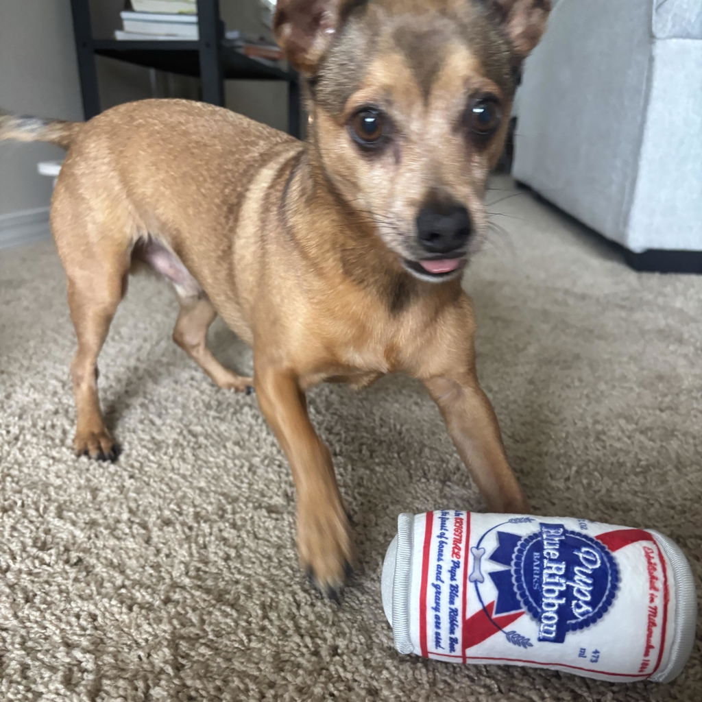 Muttini Madness: Parody Muttini Bar Plush Dog Toy for Pampered