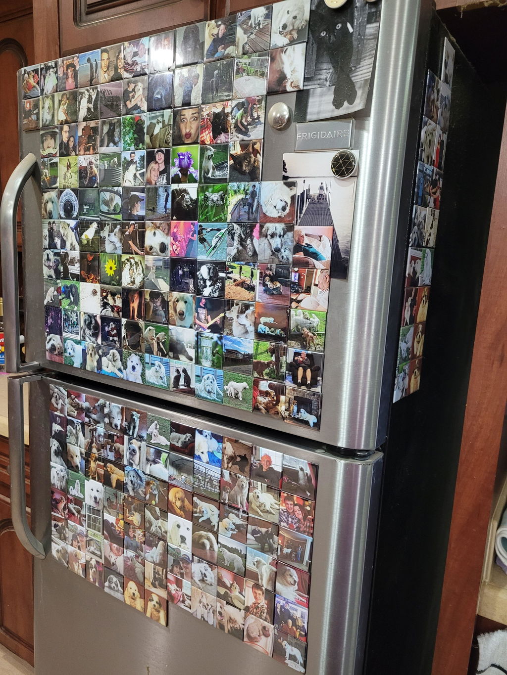 2 x 2" Square Custom Photo Magnets - Subscription