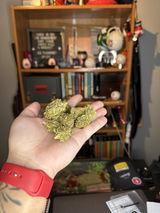 User picture
