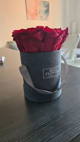 Infinity Rosen | Velvet Box rund | XS