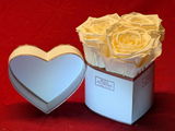 Infinity Rosen | Herz Rosé Box | XS